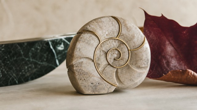 Abstract still life: a cross-section of a nautilus-like spiral carved from pale stone, with a thin line of brass inlay