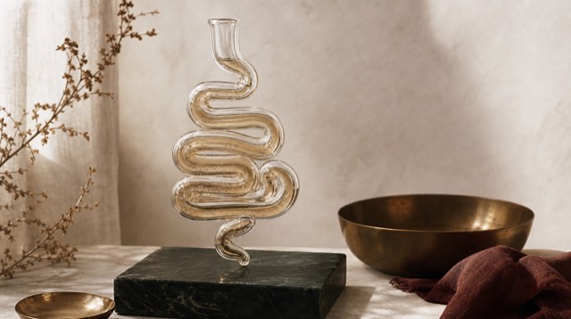 Abstract still life: a coiled glass tube filled with pale amber liquid, like an abstract gut